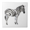 Search for zebra tiles Animals