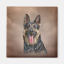 Search for pedigree dog magnets Nature