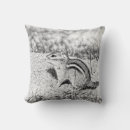 Recherche de rongeur coussins Nature