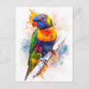 Search for lori postcards Parrot