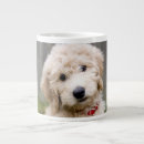 Search for mixed breed dog mugs Goldendoodle