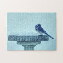 Search for blue jays puzzles Winter