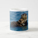 Search for sea otter mugs Animal