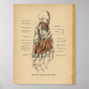 Recherche de pied humain posters Anatomie