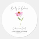 Search for echinacea stickers Flower