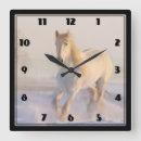 Search for beautiful horse clocks Nature