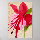 Search for fuchsia flower art Nature