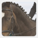 Search for dressage stickers Animal