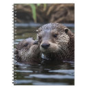 Search for otter notebooks Animal
