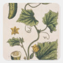 Search for vegetable garden stickers Botanical