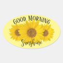 Search for edit text stickers Script