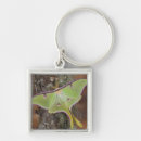 Search for sammamish keychains Insect