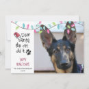 Search for funny sayings christmas cards Dog