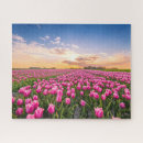 Recherche de holland tulips puzzles Fleur