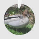 Search for wood duck ornaments Nature