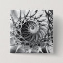 Search for fractals square buttons Spiral