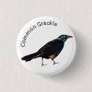 Search for commons buttons Bird