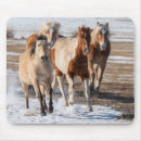 Search for pinto mousepads Farm