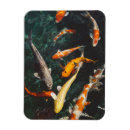 Search for orange color magnets White
