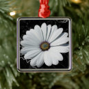 Search for daisies ornaments Background