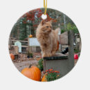 Search for ginger ornaments Orange