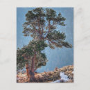 Search for estes postcards Brown