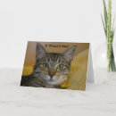 Search for guilty cards Cat