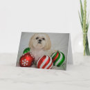 Search for shih tzu christmas cards Small