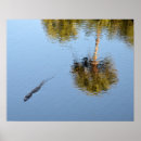 Recherche de reptiles posters Natation
