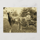 Recherche de photo de chèvre cartes postales Animal