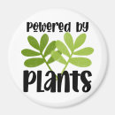 Search for based magnets Vegetarian