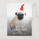 Search for advent christmas cards Dog
