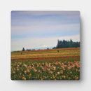 Search for field plaques Nature