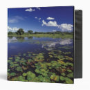 Search for pads binders Pond