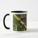 Search for captive mugs Wildlife