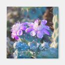 Search for pollinating magnets Flower