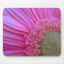 Recherche de gerbera rose tapis souris Nature