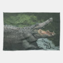 Recherche de crocodile cuisine linges Pour tous