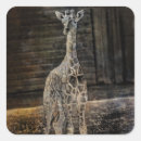 Search for giraff stickers African animals