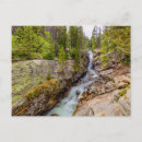 Recherche de fred cartes postales Forêt