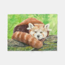 Search for red panda blankets Bear