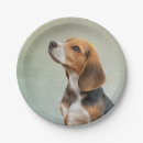 Search for beagle plates Cute