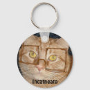 Search for orange cat keychains Humour