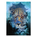 Search for snow leopard posters Winter