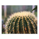 Search for spines posters Plant