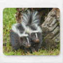 Search for schwarz mousepads Baby