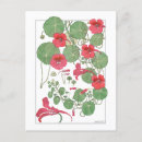 Recherche de 1896 cartes postales Fleurs