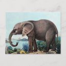 Recherche de elefant posters Afrique