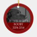 Search for loss pet memorial ornaments Condolence
