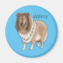 Search for rough magnets Dog